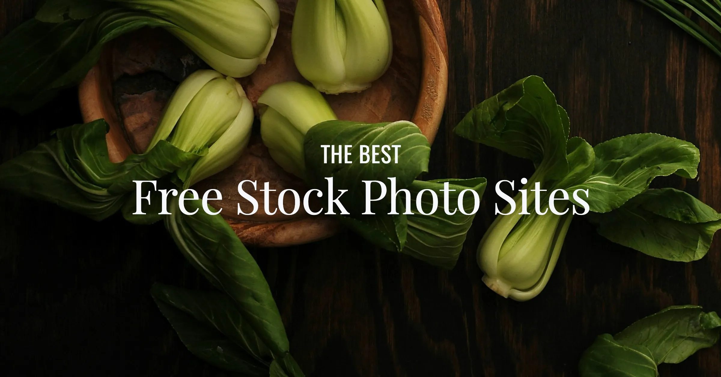 Featured image for 22 Amazing Sites With Breathtaking Free Stock Photos (2026 Update)